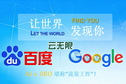 专业seo优化网站